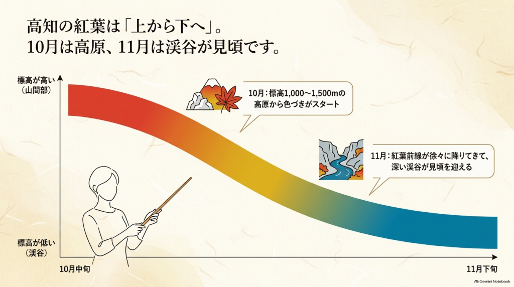 高知の紅葉は標高が高い山間部(10月中旬〜)から低い渓谷(11月下旬〜)へと「上から下へ」移り変わることを示すイラスト