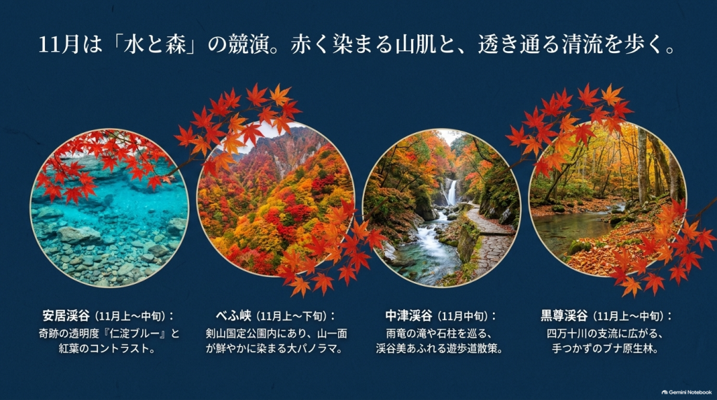 安居渓谷、べふ峡、中津渓谷、黒尊渓谷の4箇所の紅葉見頃時期と見どころをまとめたイラスト