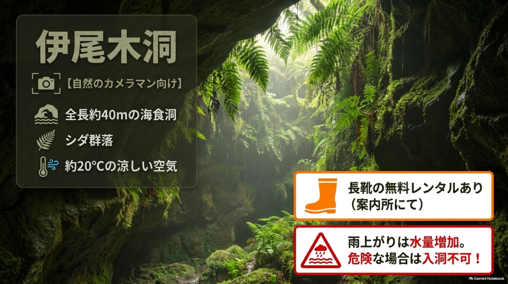 伊尾木洞の紹介スライド。全長約40mの海食洞、シダ群落、長靴の無料レンタルや雨上がりの増水についての注意点が記載されています。