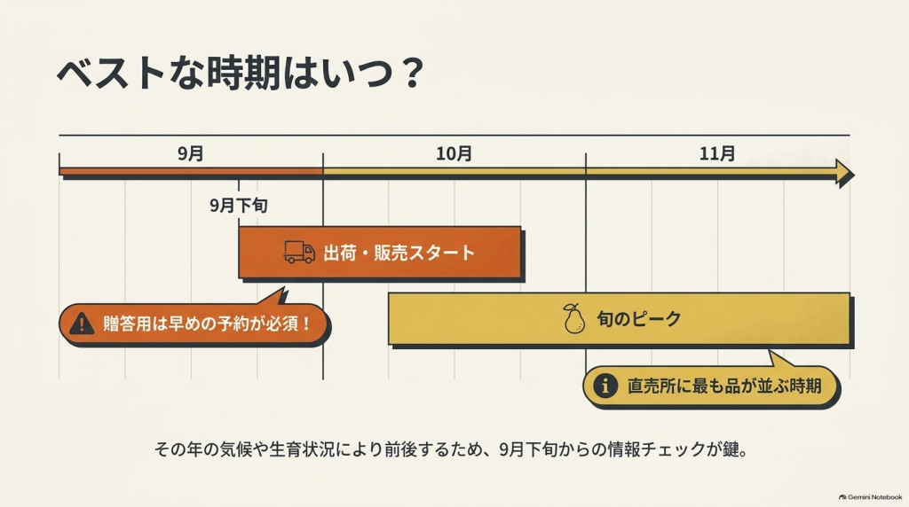 9月下旬から出荷・販売がスタートし、10月から11月にかけて旬のピークを迎えることを示すタイムライン図