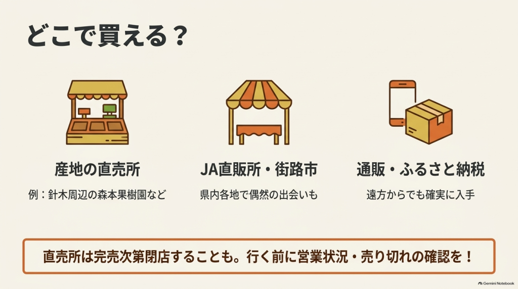 産地の直売所、JA直販所・街路市、通販・ふるさと納税での買い方と確認事項をまとめたイラスト